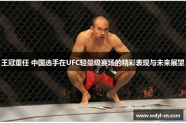 王冠重任 中国选手在UFC轻量级赛场的精彩表现与未来展望