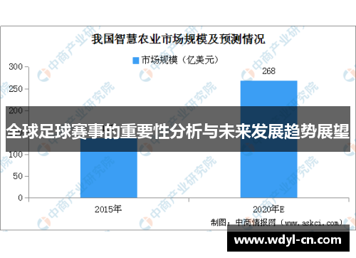 全球足球赛事的重要性分析与未来发展趋势展望
