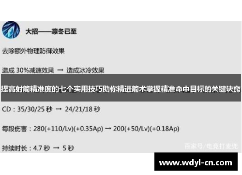 提高射箭精准度的七个实用技巧助你精进箭术掌握精准命中目标的关键诀窍