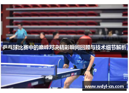 乒乓球比赛中的巅峰对决精彩瞬间回顾与技术细节解析