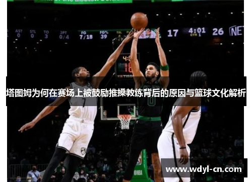 塔图姆为何在赛场上被鼓励推搡教练背后的原因与篮球文化解析