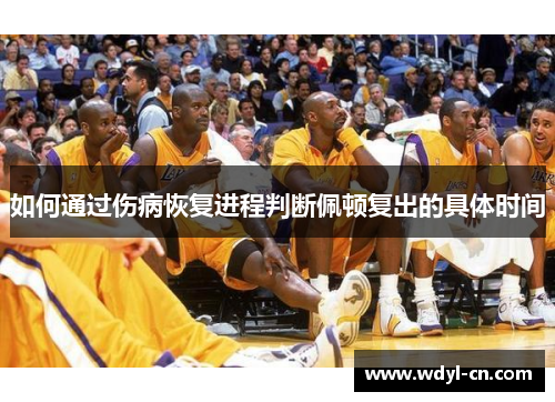 如何通过伤病恢复进程判断佩顿复出的具体时间