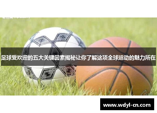 足球受欢迎的五大关键因素揭秘让你了解这项全球运动的魅力所在