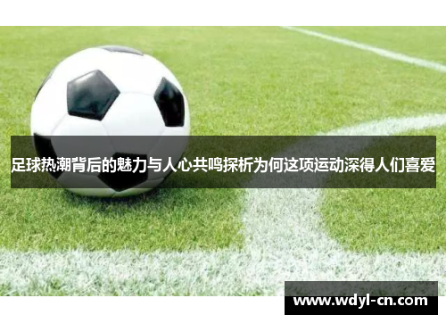 足球热潮背后的魅力与人心共鸣探析为何这项运动深得人们喜爱