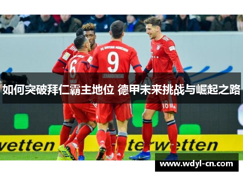 如何突破拜仁霸主地位 德甲未来挑战与崛起之路