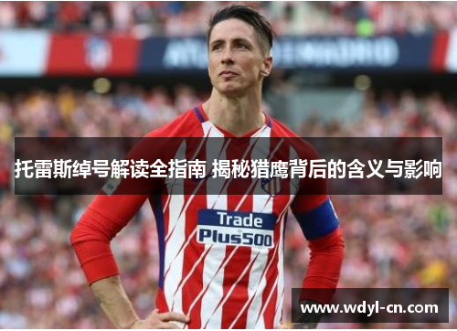 托雷斯绰号解读全指南 揭秘猎鹰背后的含义与影响