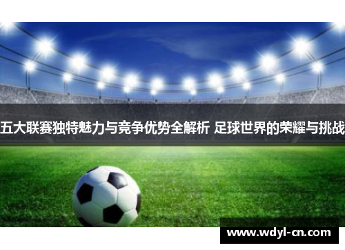 五大联赛独特魅力与竞争优势全解析 足球世界的荣耀与挑战