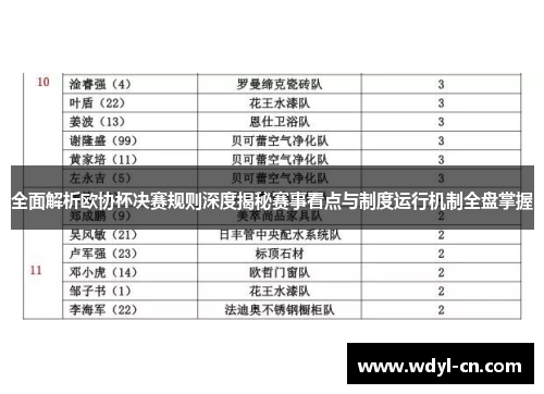 全面解析欧协杯决赛规则深度揭秘赛事看点与制度运行机制全盘掌握